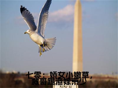 云映孟怀(七零：娇女小嫩草，救哥踢渣嫁京少)：结局+番外评价五颗星