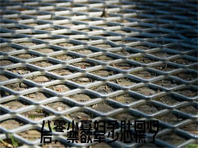 新章速递沈明月顾远舟小说小说结尾阅读无广告（八零小寡妇孕肚回归后，禁欲军少心慌了）