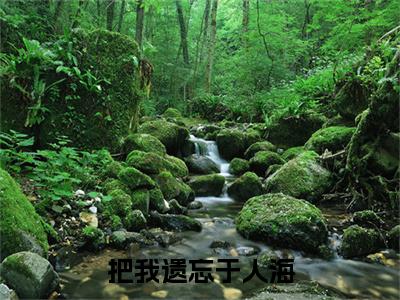 把我遗忘于人海小说完本章节前文+全篇阅读（赵思瑶霍庭州）连载中