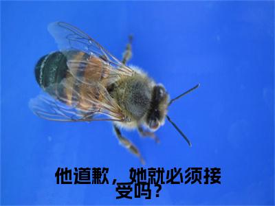 （洛妗依慕瑾怀）洛妗依慕瑾怀小说(他道歉，她就必须接受吗？)小说全集速览无广告高口碑小说