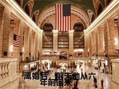 芮宁周津嗣离婚后，前夫他从六年前回来了续集(芮宁周津嗣)章节前文+全书阅读（离婚后，前夫他从六年前回来了）最新连载