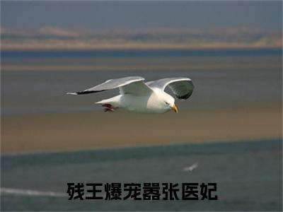 傅昭宁萧澜渊小说（残王爆宠嚣张医妃）前传+全书阅读新作预览