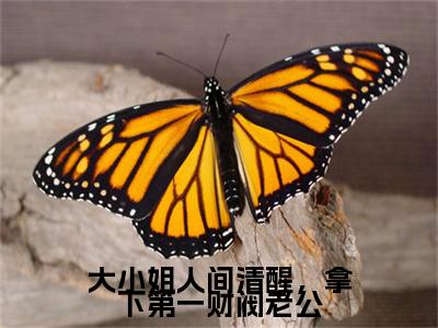 帝京战顾可爱（大小姐人间清醒，拿下第一财阀老公）TXT无套路在线+无广告结局