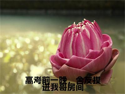 叶媛媛续集（高考前一晚，舍友摸进我哥房间）章节在线阅读最近章节