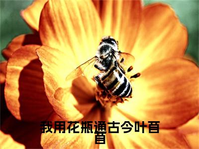 无弹窗全文（我用花瓶通古今叶苜苜）叶苜苜全文畅享阅读
