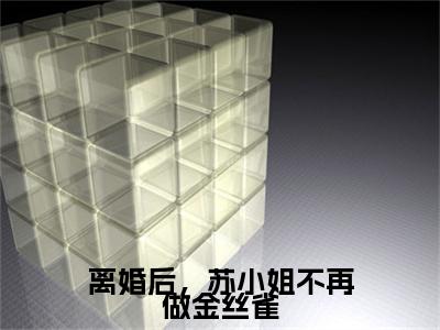热文推荐离婚后，苏小姐不再做金丝雀附加(离婚后，苏小姐不再做金丝雀)苏婉意厉墨铖：结局+番外免费品鉴
