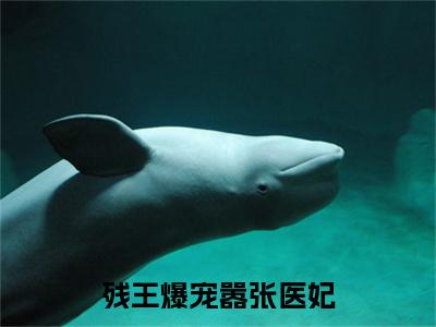 残王爆宠嚣张医妃小说（傅昭宁萧澜渊）前传+全书阅读新作预览