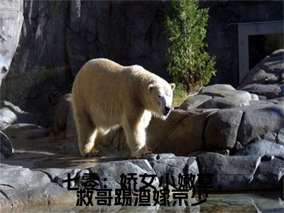全网首发云映孟怀彩蛋(七零：娇女小嫩草，救哥踢渣嫁京少)（云映孟怀）全本完整阅读无弹窗