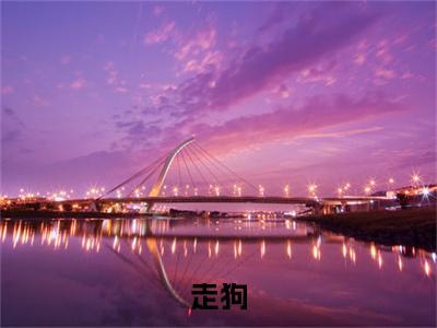 高分_走狗(陈珂陈汶山)（走狗）全本完整阅读