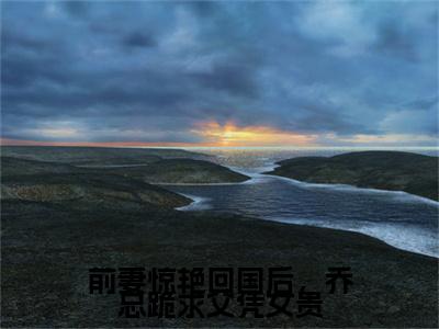 前妻惊艳回国后，乔总跪求父凭女贵完结篇(苏禾乔南州)（苏禾乔南州）全书无套路阅读无广告小说大结局