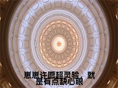 崽崽许愿超灵验，就是有点缺心眼小说(小流星苏承安)外篇+结局（崽崽许愿超灵验，就是有点缺心眼）全篇在线阅读