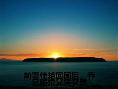 苏禾乔南州前妻惊艳回国后，乔总跪求父凭女贵附加(苏禾乔南州)（前妻惊艳回国后，乔总跪求父凭女贵）全本浏览阅读连载中