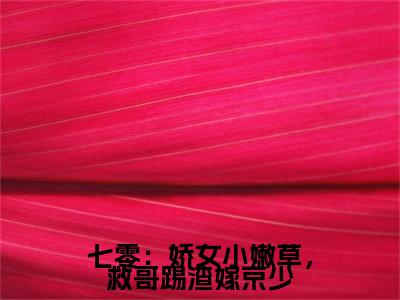 云映孟怀小说(七零：娇女小嫩草，救哥踢渣嫁京少)全文+后续（云映孟怀）畅享阅读