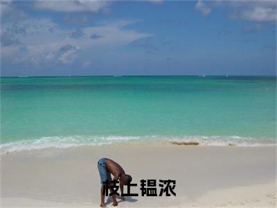 电子书+番外篇章+（元韫浓裴令仪）免费版在线阅读