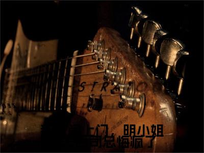 （书荒必看）司锦修明悦小说TXT无套路阅读