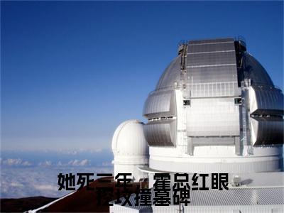 霍绍梃苏楚小说(她死三年，霍总红眼挖坟撞墓碑)全文+后续（霍绍梃苏楚）无套路阅读