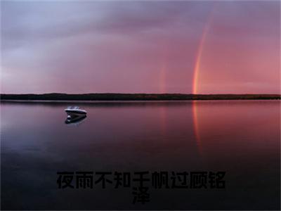 夜雨不知千帆过顾铭泽小说章节目录+章节前文（林蔓瑶顾铭泽）TXT清爽版在线