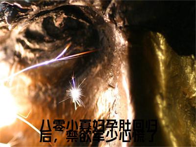 沈明月顾远舟小说(八零小寡妇孕肚回归后，禁欲军少心慌了)全文+后续（沈明月顾远舟）畅享阅读