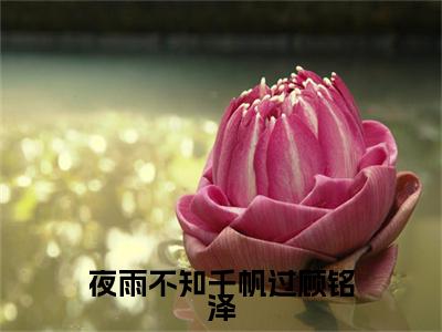 （林蔓瑶顾铭泽）夜雨不知千帆过顾铭泽最终篇章章节在线无广告高口碑小说