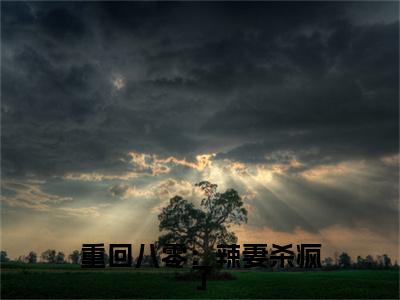 （头条）重回八零：辣妻杀疯了(唐雪梨夏金花)整本免费版阅读无广告（重回八零：辣妻杀疯了）