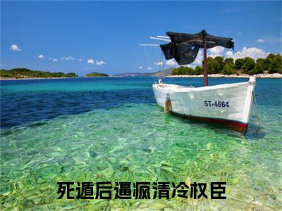 死遁后逼疯清冷权臣完结篇(死遁后逼疯清冷权臣)章节目录+章节前文（苏暮顾长钰）全章无套路在线