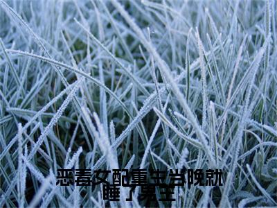 热文推荐沈棠梨君长钰小说（恶毒女配重生当晚就睡了男主）前传列表