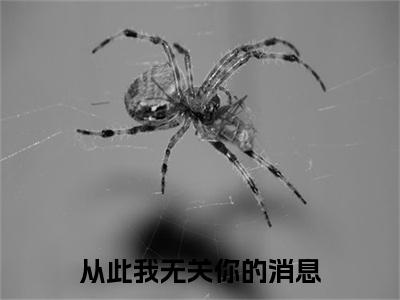 从此我无关你的消息小说（孟挽惜程南朝）起点章节+全篇阅读热门作品预订