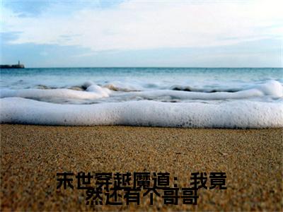 终章小说魏暄(末世穿越魔道：我竟然还有个哥哥)：结局+番外评价五颗星