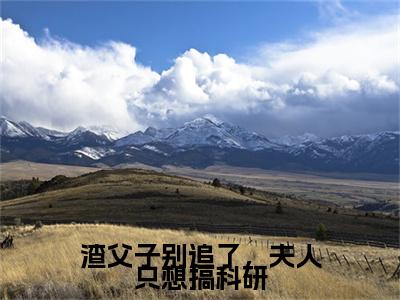 渣父子别追了，夫人只想搞科研顾卿沈裴城终章（顾卿沈裴城）完整章节列表_笔趣阁