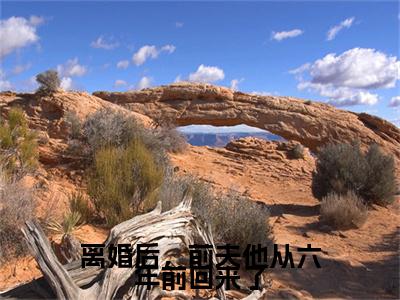 离婚后，前夫他从六年前回来了小说(芮宁周津嗣)章节目录+起点章节（离婚后，前夫他从六年前回来了）全篇清爽版在线