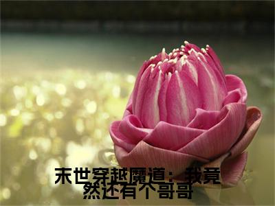 魏暄电子书+番外篇章+（末世穿越魔道：我竟然还有个哥哥）免费版在线阅读