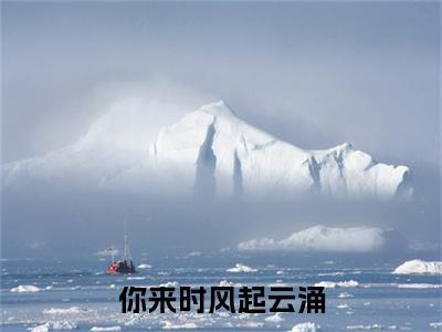 陆翊夏天瑜你来时风起云涌：结局+番外免费品鉴+全书阅读（陆翊夏天瑜）最新连载