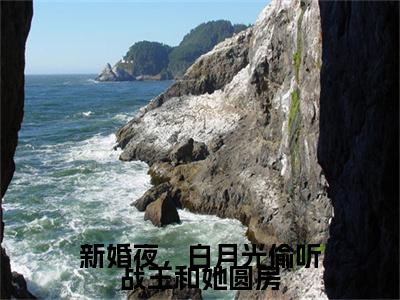 新婚夜，白月光偷听战王和她圆房小说（林妙音北宫攸）全文免费阅读无弹窗_新婚夜，白月光偷听战王和她圆房小说全文免费阅读）林妙音北宫攸+后续评价五颗星