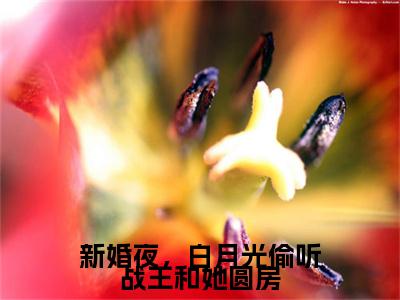 小说结尾小说新婚夜，白月光偷听战王和她圆房小说全章已更新+无删减（林妙音北宫攸）无弹窗
