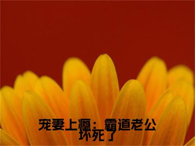 秦慕辰苏莫浅(宠妻上瘾：霸道老公坏死了)章节目录+起始篇章（秦慕辰苏莫浅）：结局+番外评价五颗星