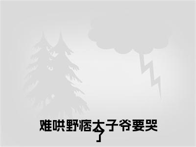难哄野痞太子爷要哭了小说完本(难哄野痞太子爷要哭了)（周琮许枝俏）前传+整本阅读全新作品预订