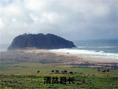 清贫县长王民哲彩蛋（王民哲）全书在线下载阅读完美终章小说大结局