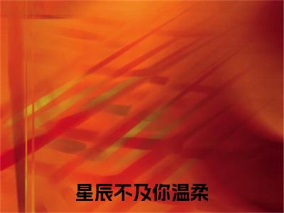 （书荒必看）星辰不及你温柔小说TXT无套路阅读
