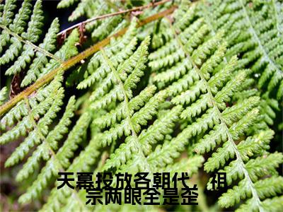 天幕投放各朝代，祖宗两眼全是歪小说番外+结局（元嘉）小说在线阅读