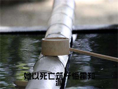 她以死亡筑忏悔霍知渊彩蛋+起始篇章（顾清婉霍知渊）阅读