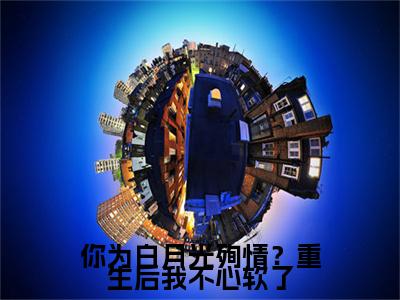 你为白月光殉情？重生后我不心软了：结局+番外免费品鉴+全书阅读（傅闻星温月见）：结局+番外评价五颗星