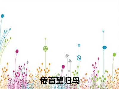 （书荒必看）倦首望归鸟小说TXT无套路阅读