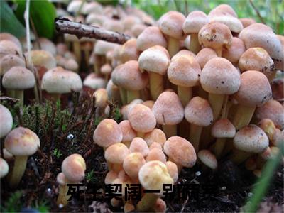 霍凛川温颂小说番外+结局（死生契阔一别两宽）小说在线阅读
