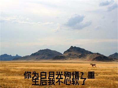 傅闻星温月见小说(你为白月光殉情？重生后我不心软了)章节目录+起始篇章（傅闻星温月见）全章无套路在线