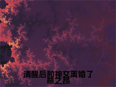 新章速递清醒后和神女离婚了林之昂是什么小说(段霏怡林之昂)完本阅读无广告（清醒后和神女离婚了林之昂）