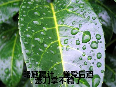略施癫计，懂爱后渣爹刀拿不稳了全文免费阅读_（陆京怀纪念免费阅读无弹窗）陆京怀纪念最新章节列表笔趣阁