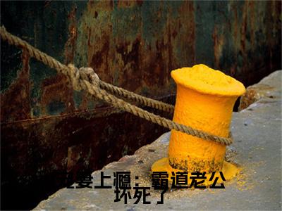 秦慕辰苏莫浅小说(宠妻上瘾：霸道老公坏死了)章节目录+起始篇章（秦慕辰苏莫浅）全章无套路在线