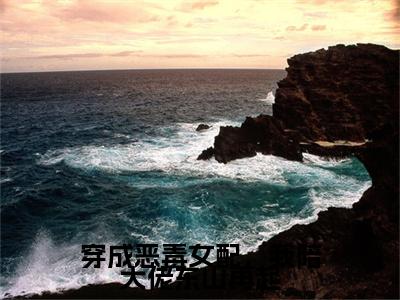 许艺宋晏明后续(穿成恶毒女配，我陪大佬东山再起)（许艺宋晏明）整本畅享在线+无广告结局