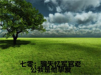 （林佳意孟向远）七零：骗失忆军官老公我是他挚爱小说最终篇章章节在线无广告高口碑小说
