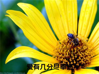 （傅宴洲陆知夏）：结局+番外新上热文无广告章节清单